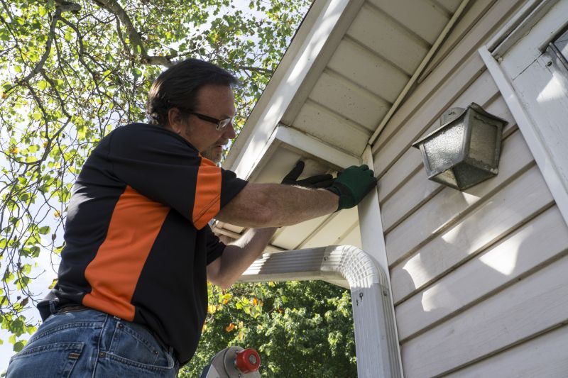 Vinyl Siding Repair - Professional Inspection